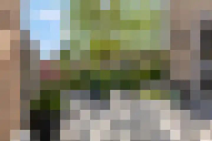 Eekschillerslaan 5 Voorthuizen thumbnail 11