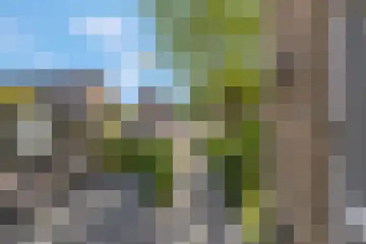 Eekschillerslaan 5 Voorthuizen thumbnail 12