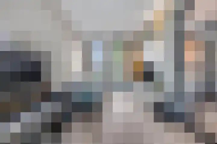 Eekschillerslaan 5 Voorthuizen thumbnail 19