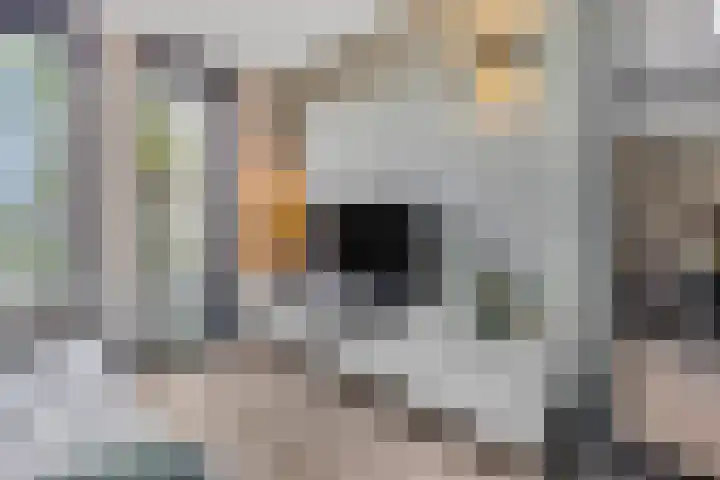 Eekschillerslaan 5 Voorthuizen thumbnail 20