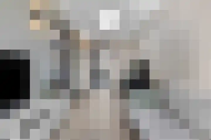 Eekschillerslaan 5 Voorthuizen thumbnail 21