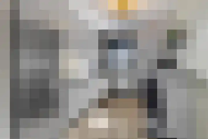 Eekschillerslaan 5 Voorthuizen thumbnail 23