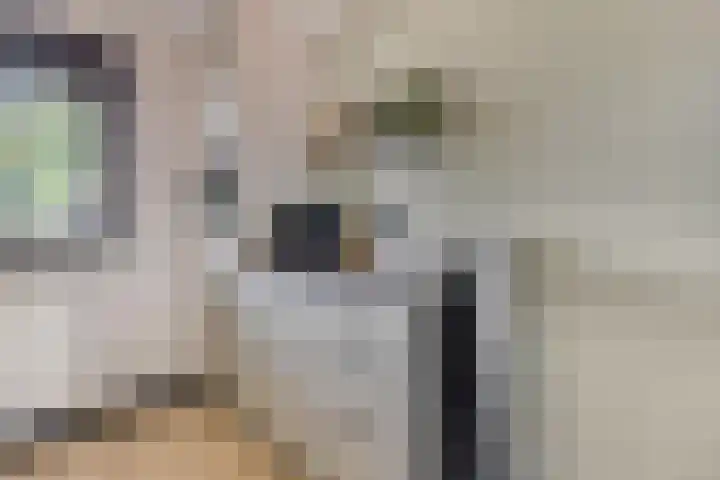 Eekschillerslaan 5 Voorthuizen thumbnail 24