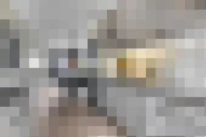 Eekschillerslaan 5 Voorthuizen thumbnail 25