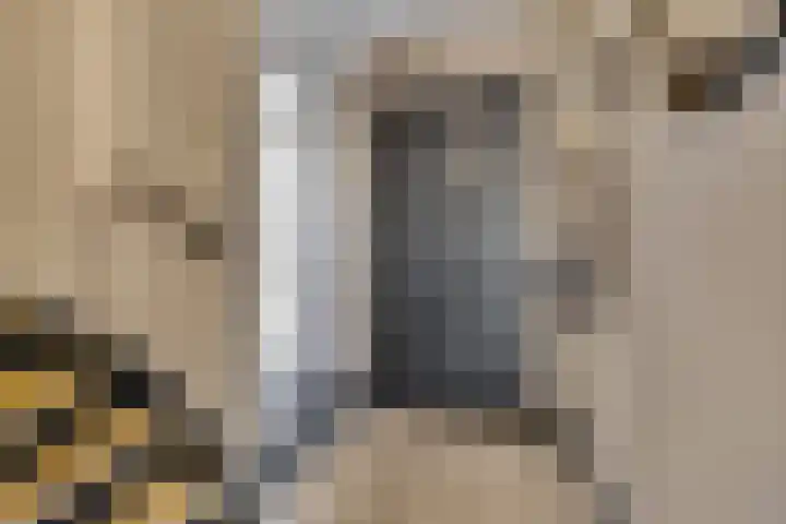 Eekschillerslaan 5 Voorthuizen thumbnail 27