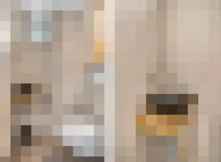 Eekschillerslaan 5 Voorthuizen thumbnail 29