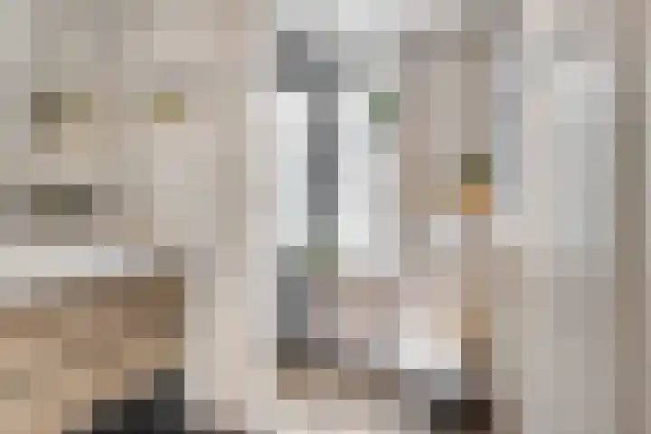 Eekschillerslaan 5 Voorthuizen thumbnail 38