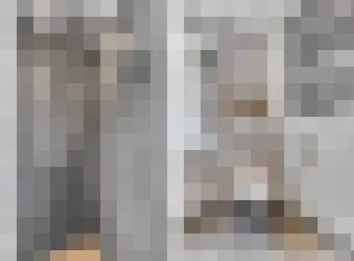 Eekschillerslaan 5 Voorthuizen thumbnail 39
