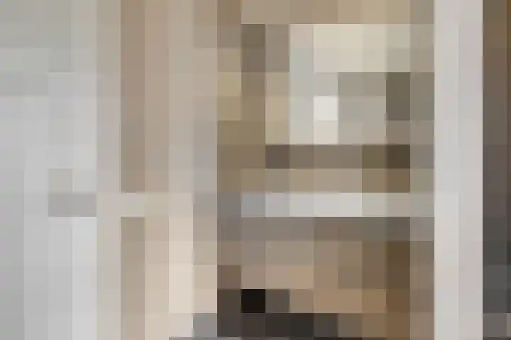 Eekschillerslaan 5 Voorthuizen thumbnail 40