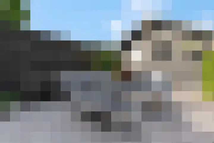 Eekschillerslaan 5 Voorthuizen thumbnail 48