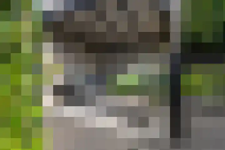 Eekschillerslaan 5 Voorthuizen thumbnail 50