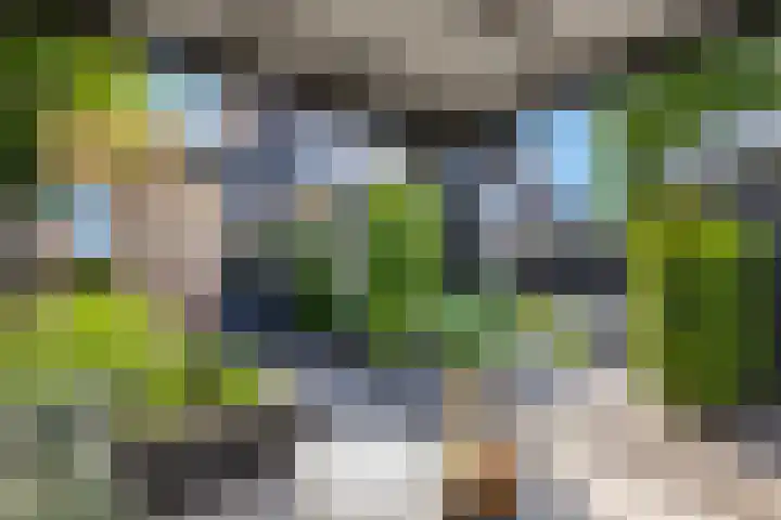 Eekschillerslaan 5 Voorthuizen thumbnail 51