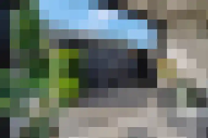 Eekschillerslaan 5 Voorthuizen thumbnail 54