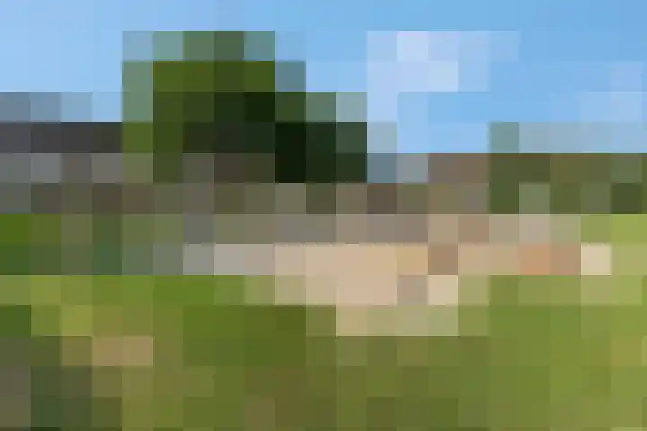 Eekschillerslaan 5 Voorthuizen thumbnail 57
