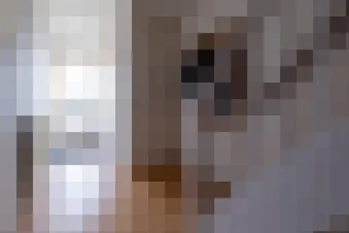 Eekschillerspad 16 Nieuw-Roden thumbnail 11