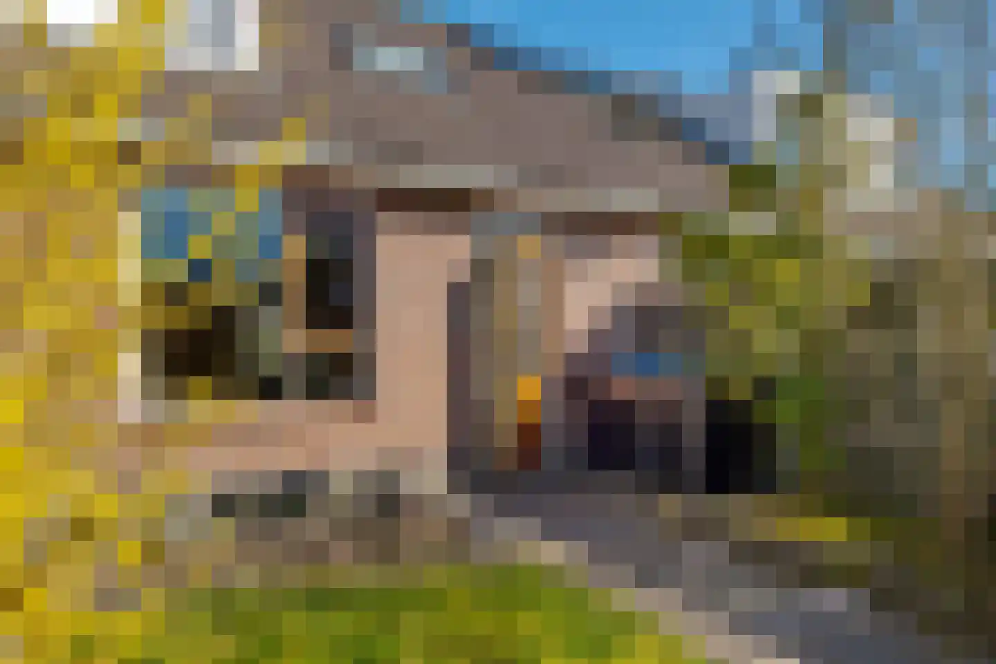 Eekschillerspad 6 Nieuw-Roden thumbnail 25