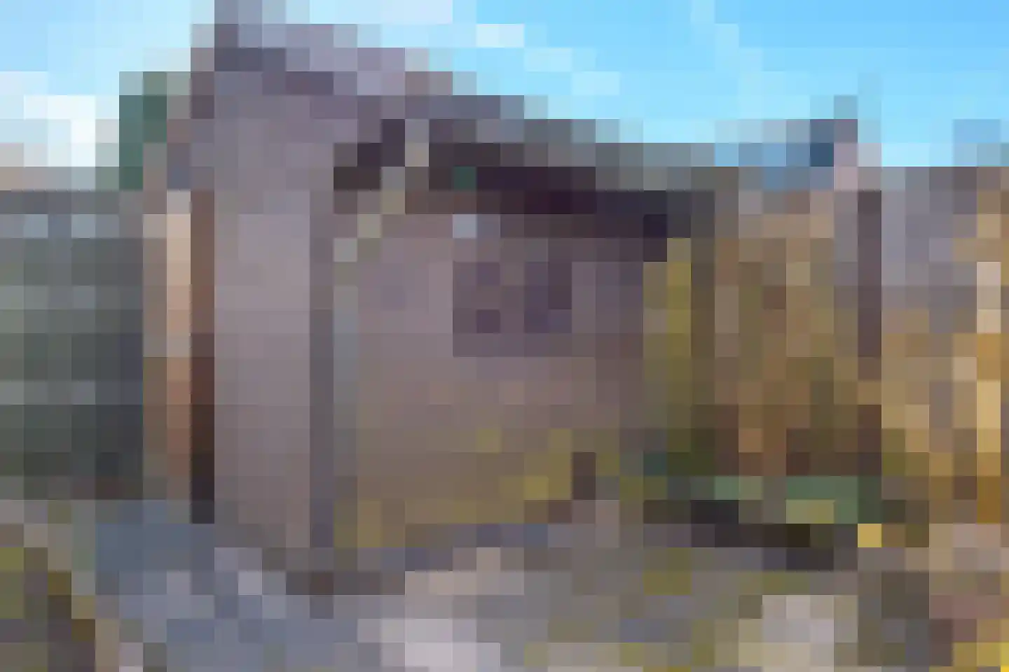 Eekschillerspad 6 Nieuw-Roden thumbnail 26