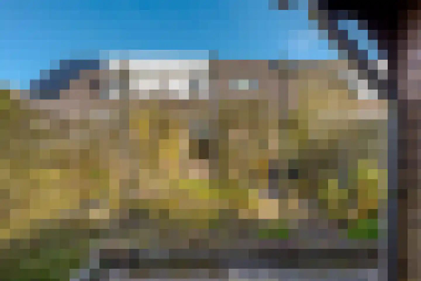 Eekschillerspad 6 Nieuw-Roden thumbnail 28