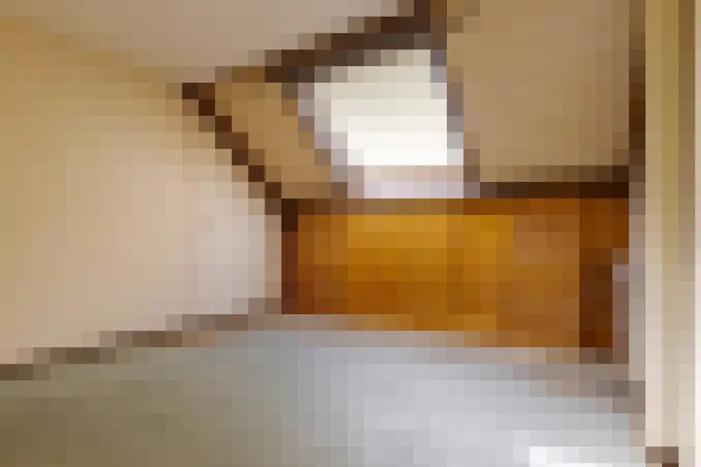 Eekschillerspad 6 Nieuw-Roden thumbnail 34