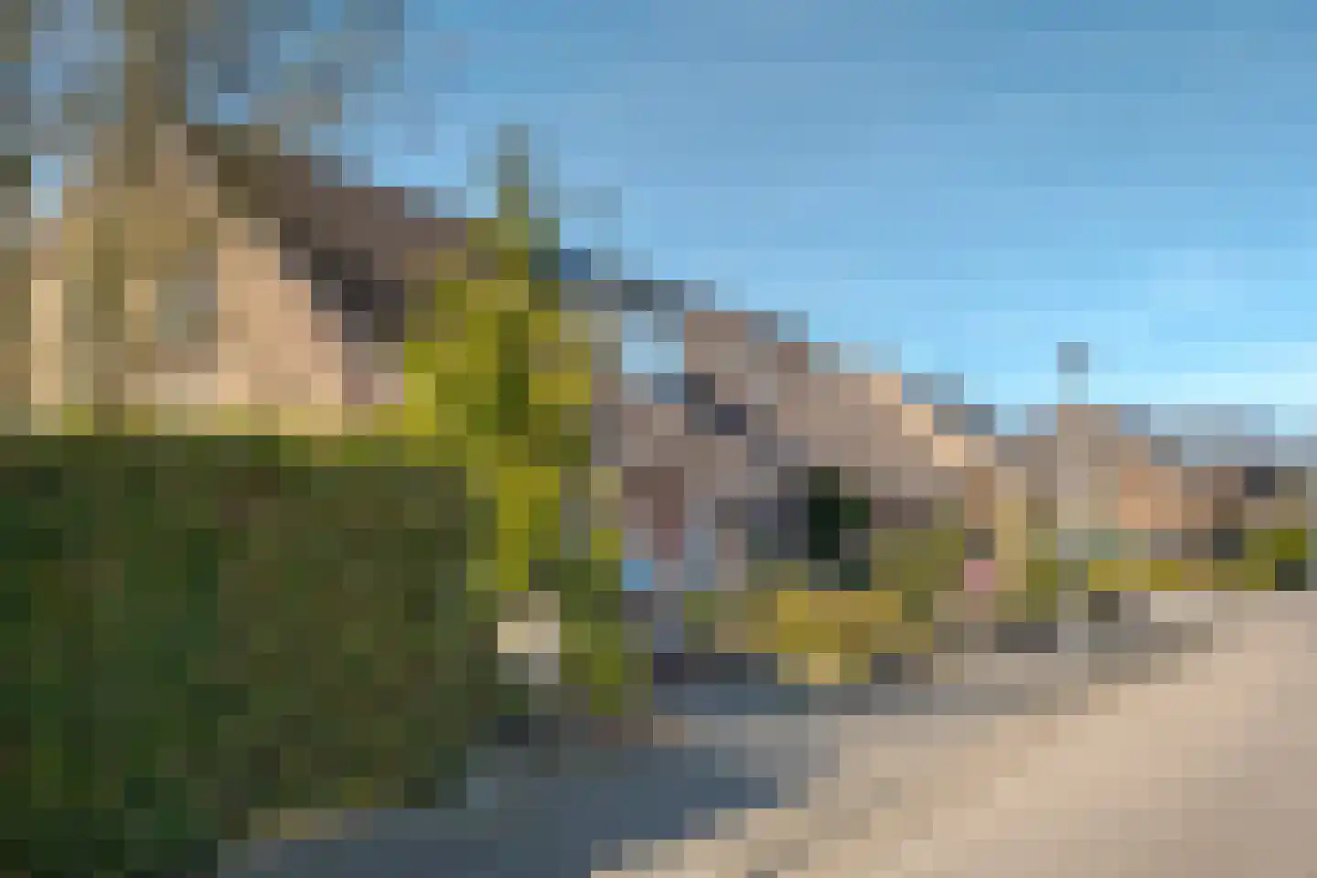 Eekschillerspad 6 Nieuw-Roden thumbnail 5