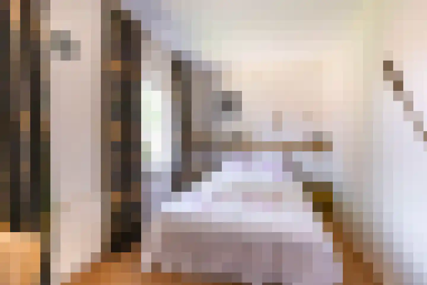 Eekschillersweg 14 Gieten thumbnail 29
