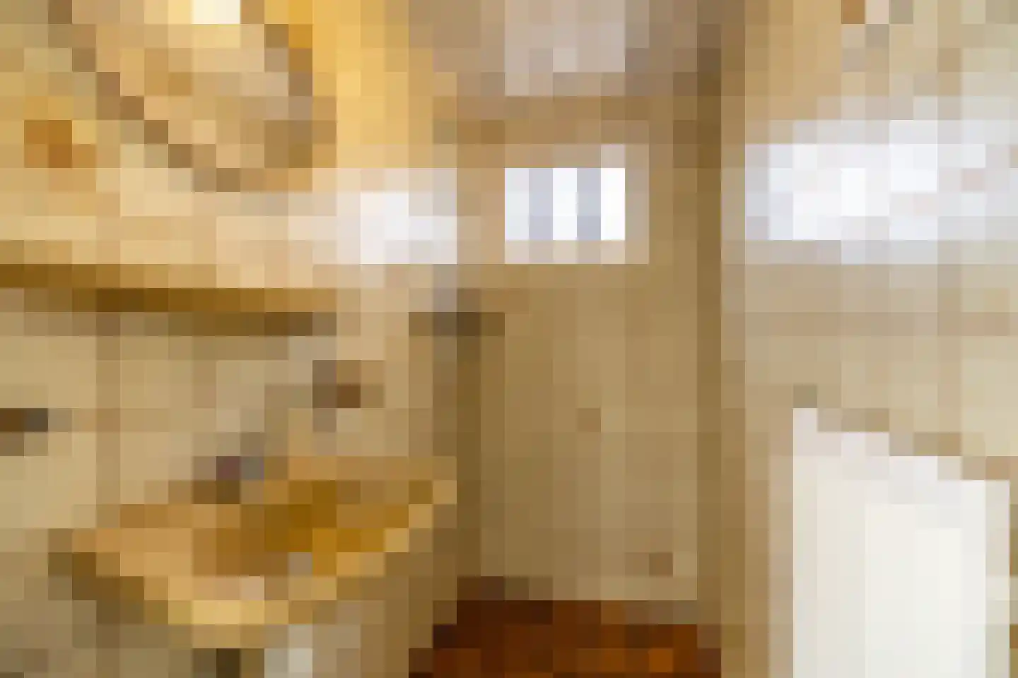 Eekschillersweg 14 Gieten thumbnail 31