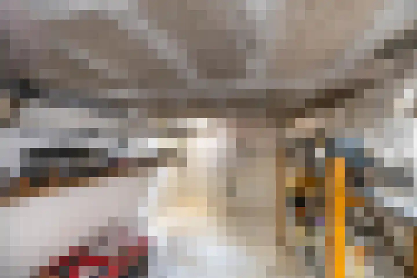 Eekschillersweg 14 Gieten thumbnail 35