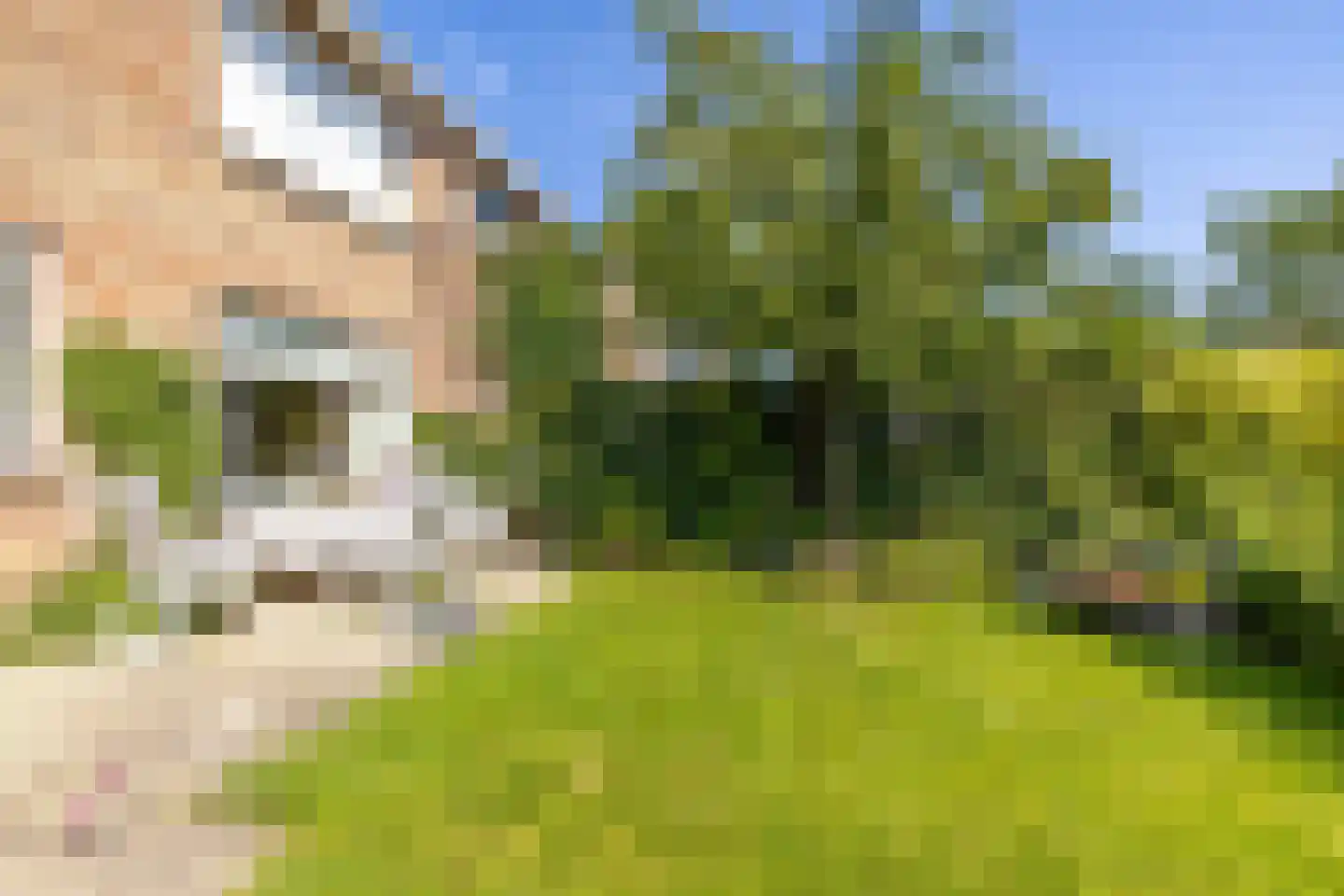 Eekschillersweg 14 Gieten thumbnail 37