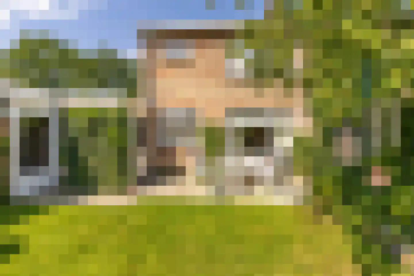 Eekschillersweg 14 Gieten thumbnail 38
