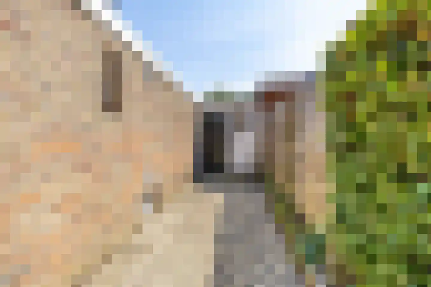 Eekschillersweg 14 Gieten thumbnail 42