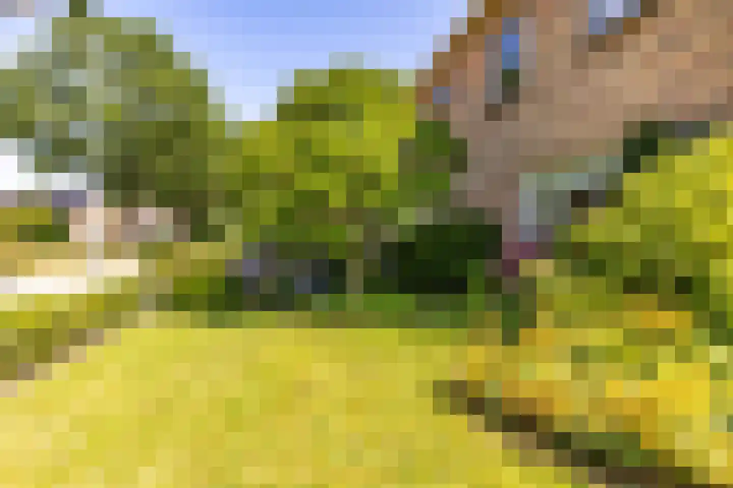 Eekschillersweg 14 Gieten thumbnail 44