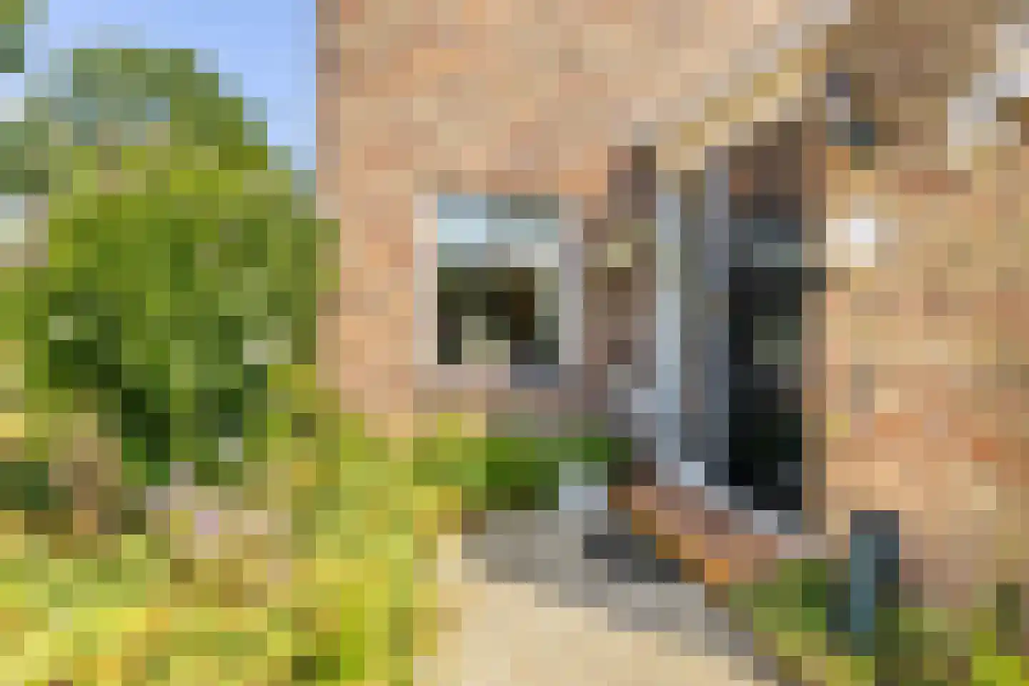 Eekschillersweg 14 Gieten thumbnail 9