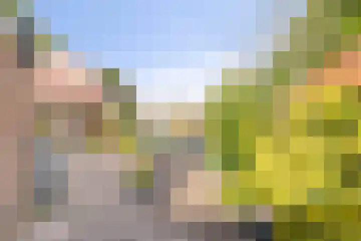 Eekschillersweg 21 Gieten thumbnail 17