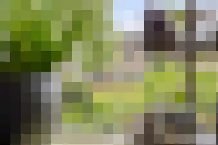Eekschillersweg 21 Gieten thumbnail 8