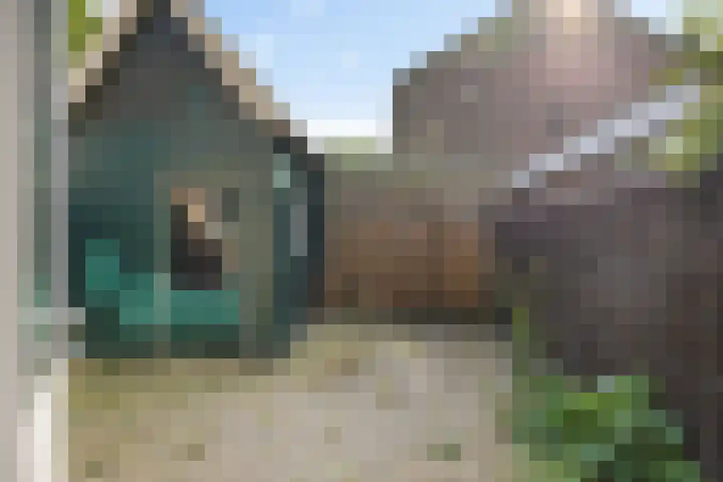 Eekschillersweg 26 Gieten thumbnail 39
