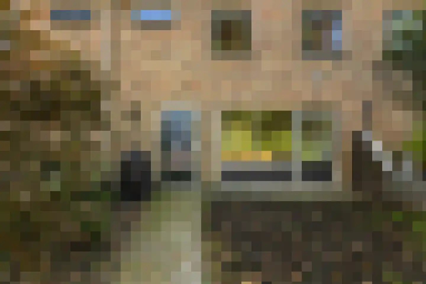 Eekschillersweg 26 Gieten thumbnail 43