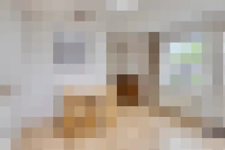 Eekschillersweg 7 Gieten thumbnail 16