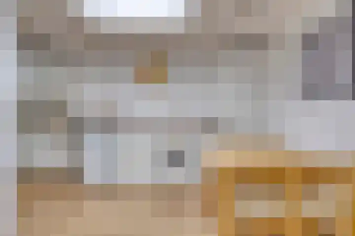 Eekschillersweg 7 Gieten thumbnail 19