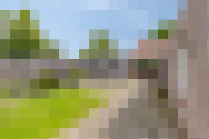 Eekschillersweg 7 Gieten foto 2