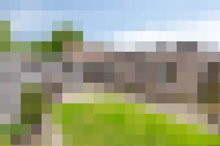 Eekschillersweg 7 Gieten thumbnail 33
