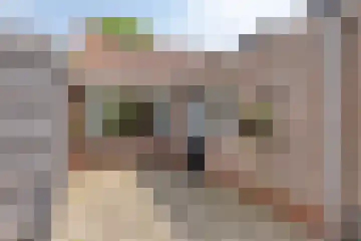 Eekschillersweg 7 Gieten thumbnail 34