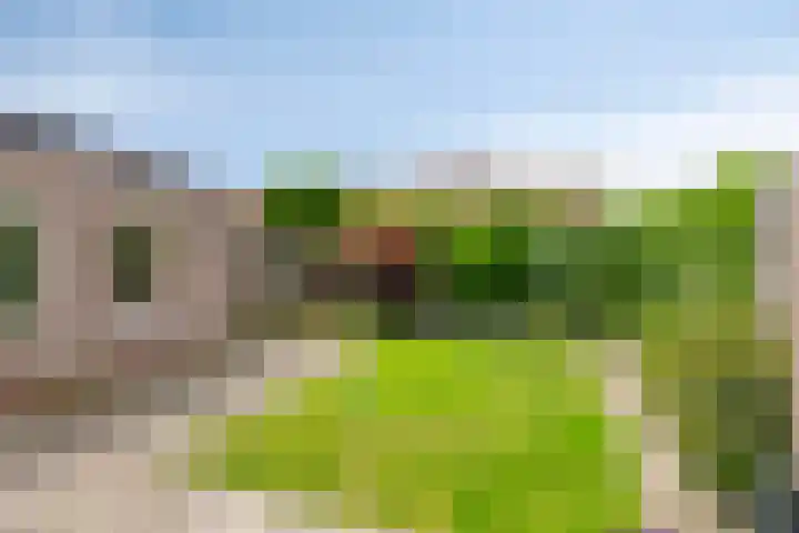 Eekschillersweg 7 Gieten thumbnail 35