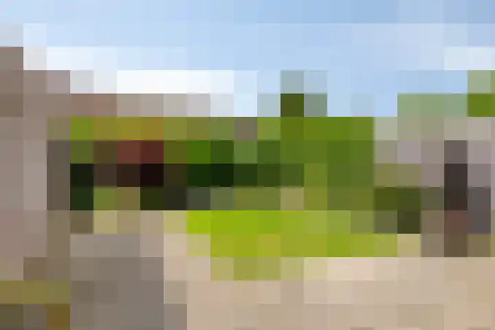 Eekschillersweg 7 Gieten thumbnail 36