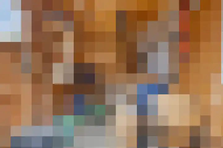 Eekschillersweg 7 Gieten thumbnail 38