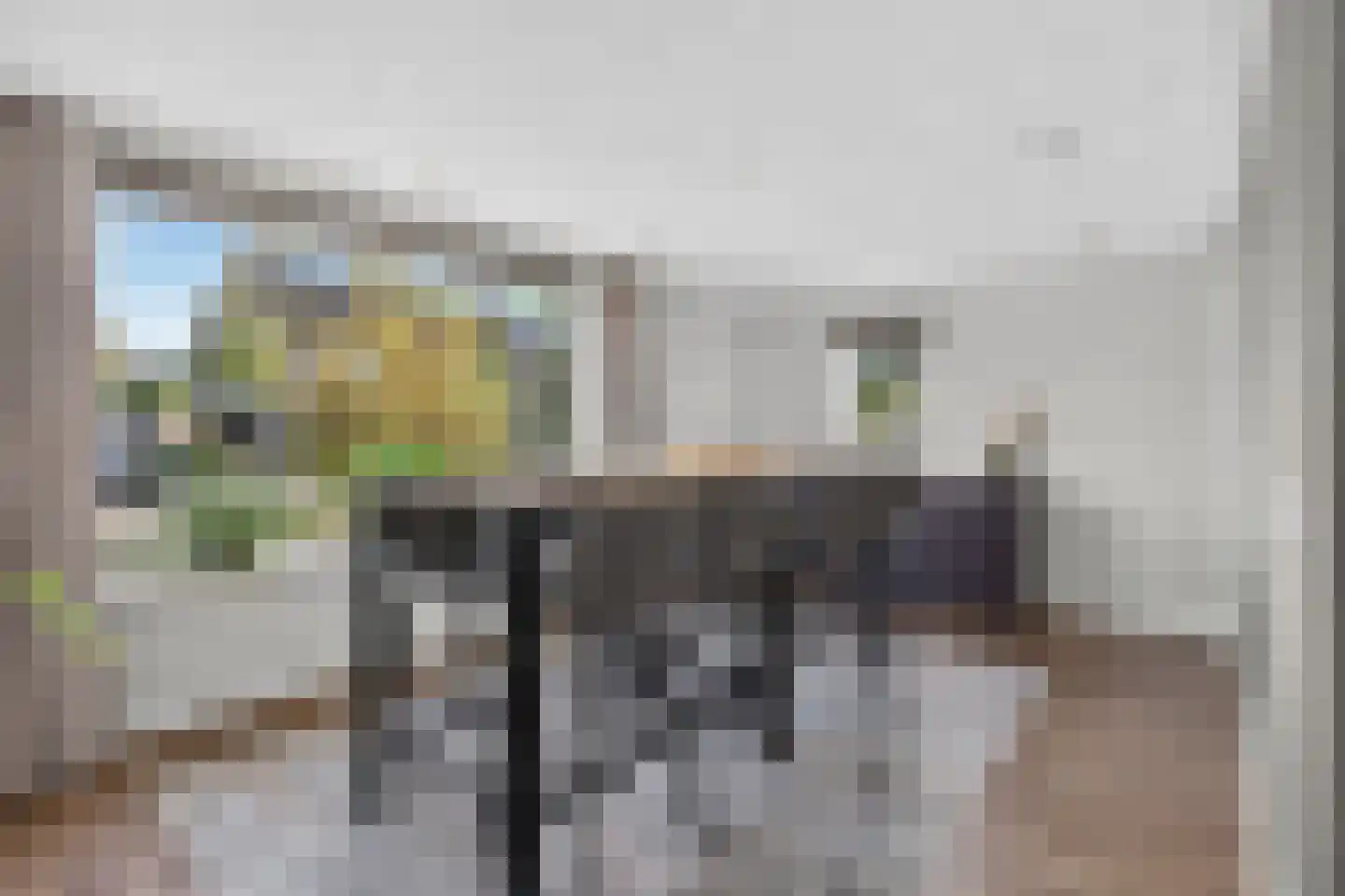 Eekstraat 21 Deurne thumbnail 13