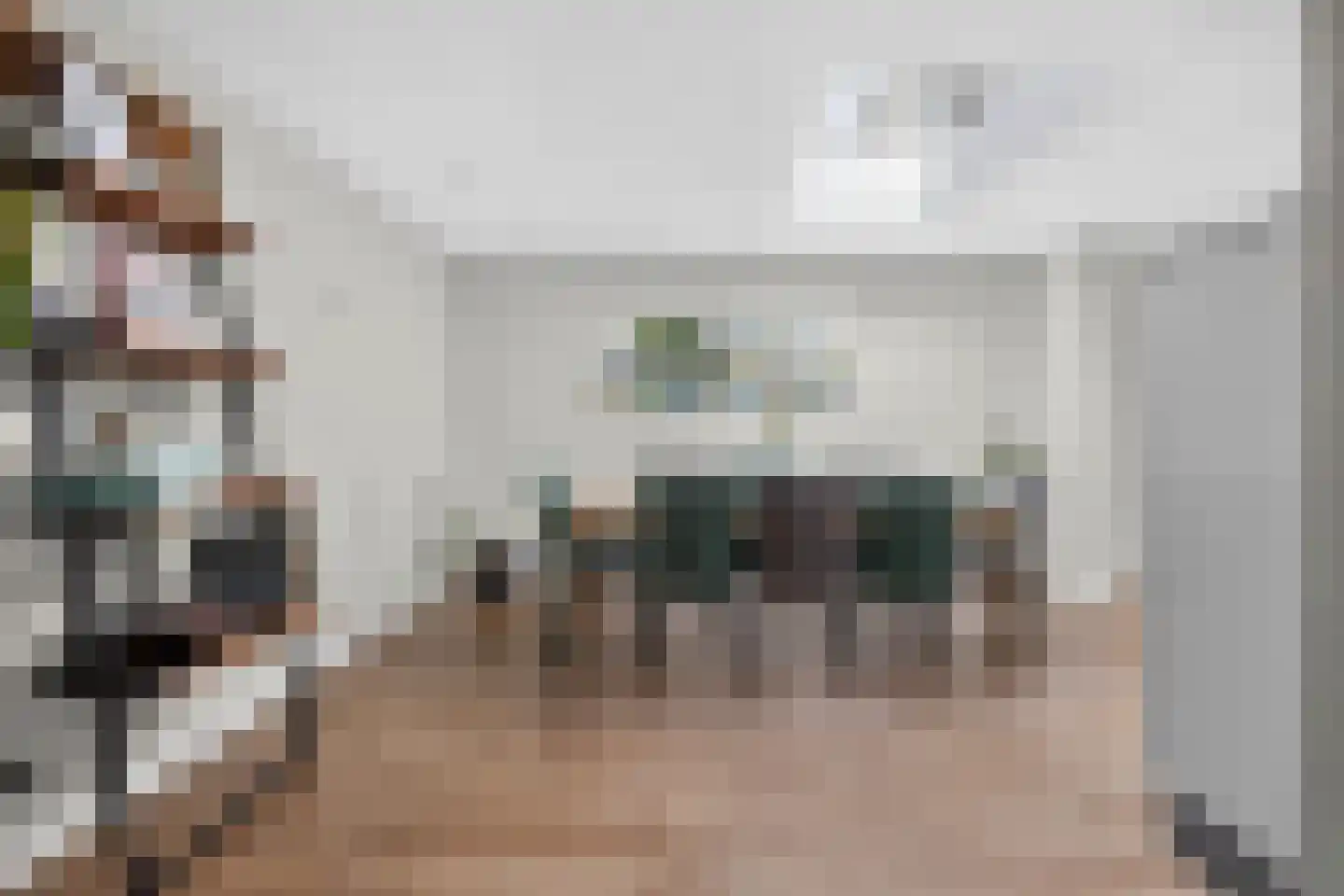 Eekstraat 21 Deurne thumbnail 19