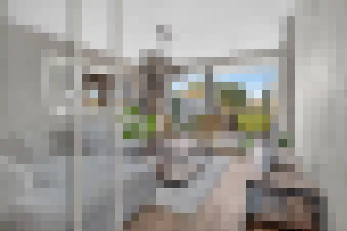 Eekstraat 21 Deurne thumbnail 22