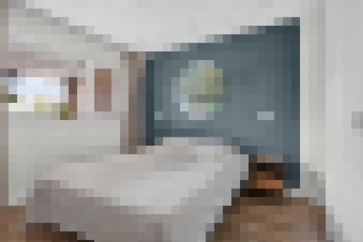 Eekstraat 21 Deurne thumbnail 26
