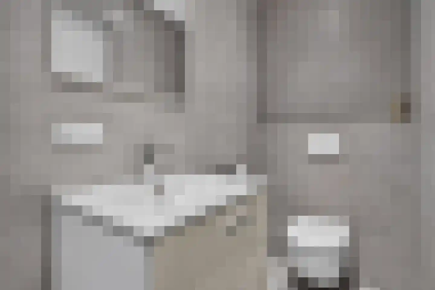 Eekstraat 21 Deurne thumbnail 28