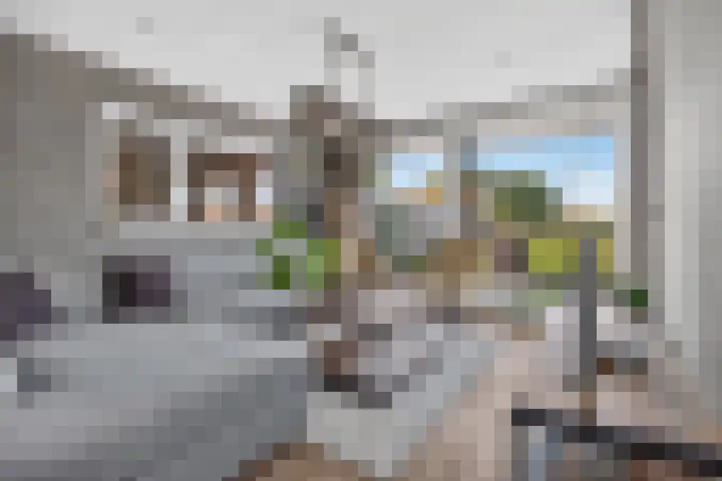 Eekstraat 21 Deurne thumbnail 4